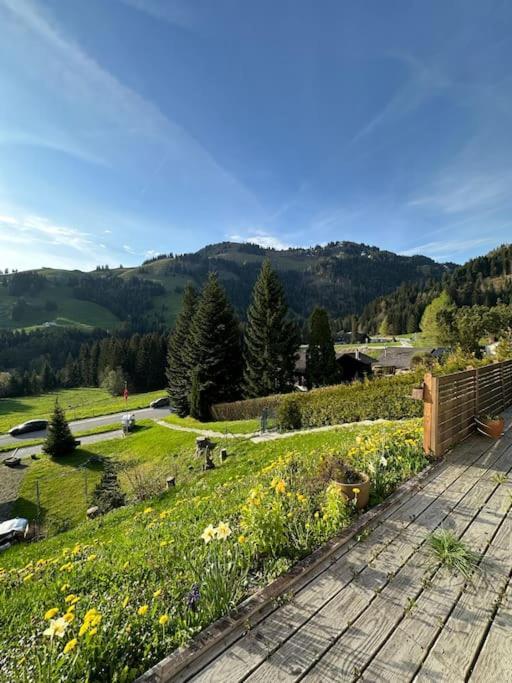 Chalet Du Moleson Грюер Екстериор снимка